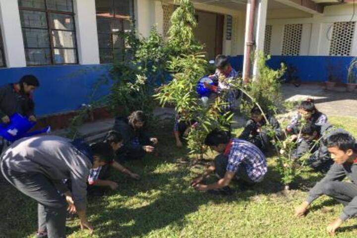 Kendriya Vidyalaya-Activity