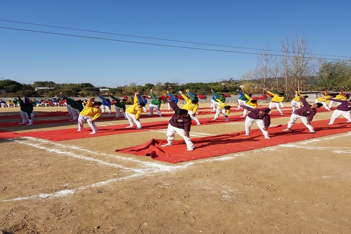 Chail Public School-Yoga Activity