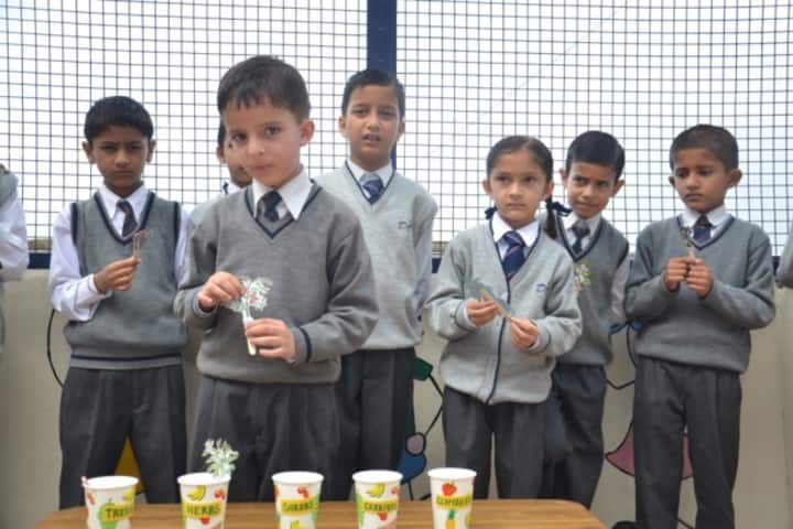 D A V Senior Secondary Public School-activity