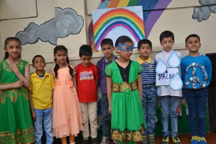 D A V Senior Secondary Public School-activity