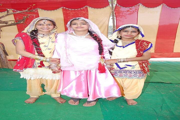 D A V M Public School-Event
