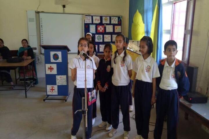 DAV Centenary Public School-Music Activity