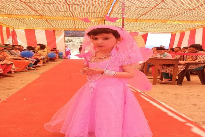 DAV Centenary Public School-Fancy Dress