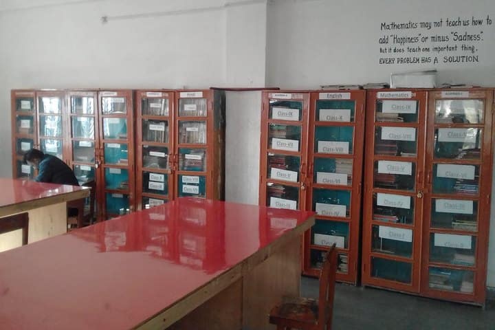 DAV Centenary Public School-Library