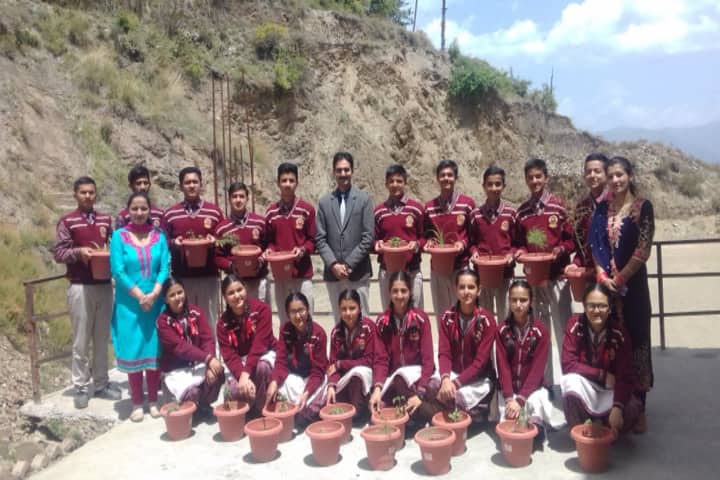 DAV Centenary Public School-Plantation