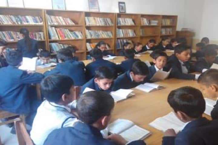 DAV Mahatma Anand Swami Public School-Library