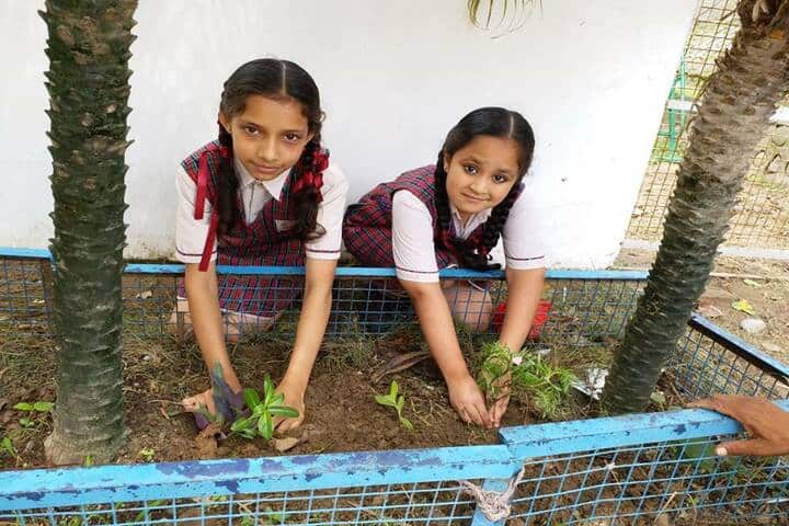 DAV Public School-Plantation