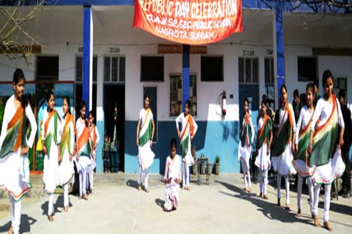 DAV Public School-Independence day Celebration