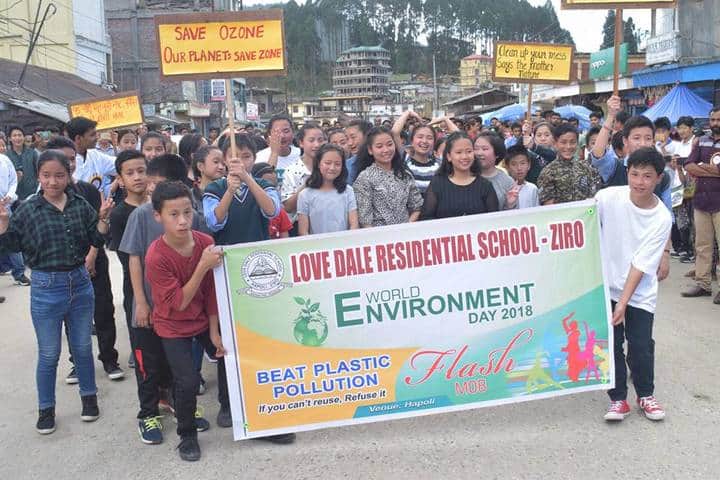 Love Dale Residential School-Environment day