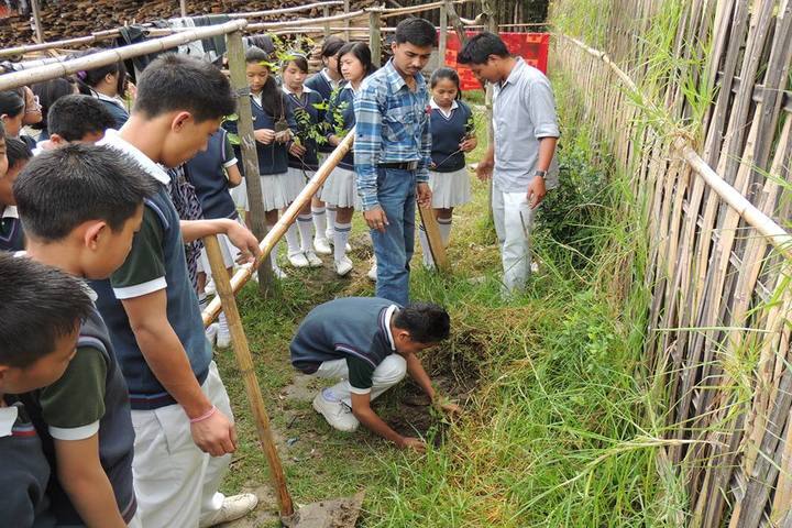 Love Dale Residential School-Plantation