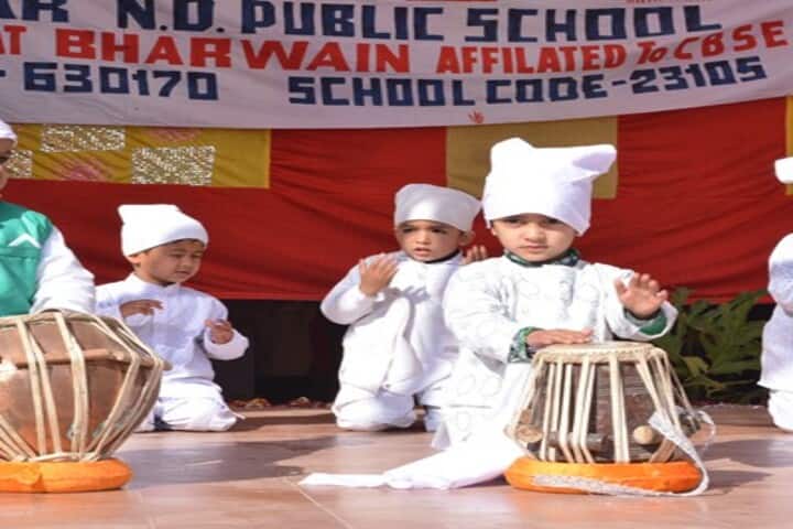 Dhauladhar Nirmla Devi Senior Secondary School-Music Activity