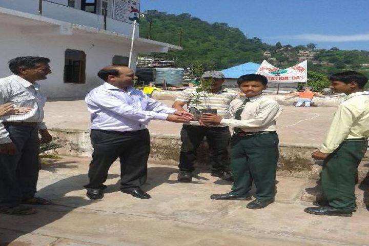 Florence Convent School-Tree Plantation