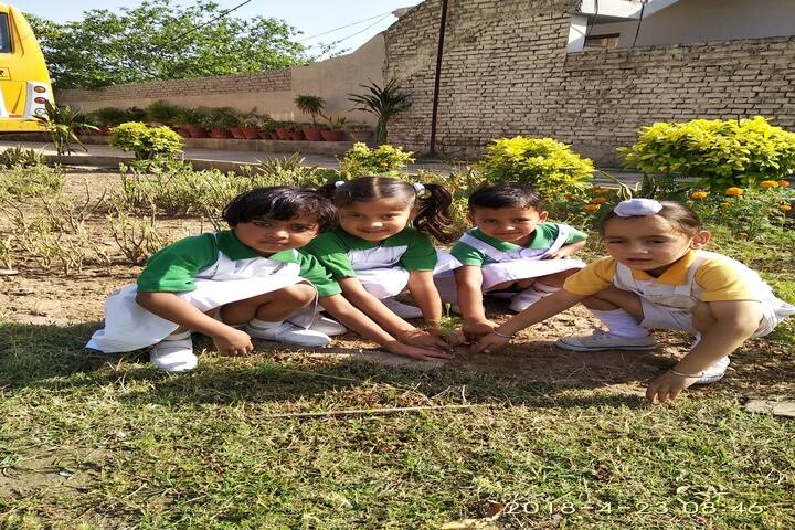 Golden Valley Public School-Tree Plantation