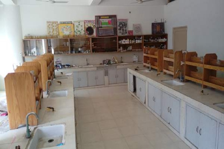 Guru Nanak Public School-Chemistry-Lab