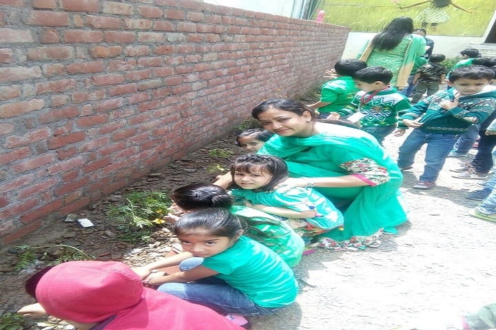 Ivy International School-Tree Plantation