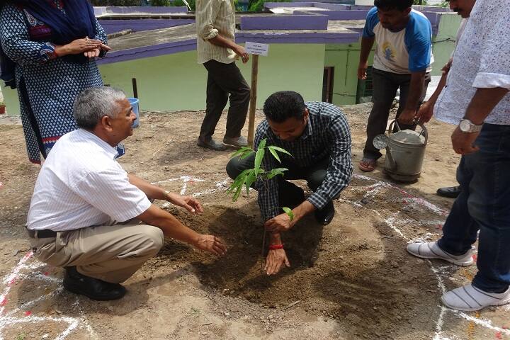 Jawahar Navodaya Vidyalaya-Tree-Plantation