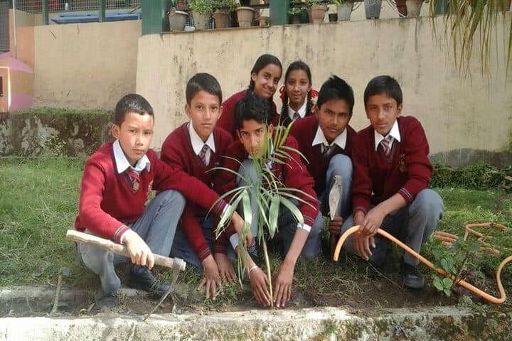 Jeori Public School-Tree-Plantation