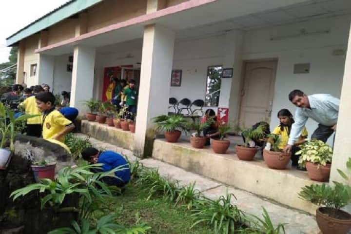 Kendriya Vidyalaya-Tree-Plantation