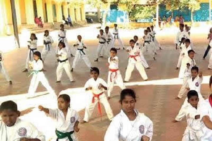 Neugal Public Senior Secondary School-Karate