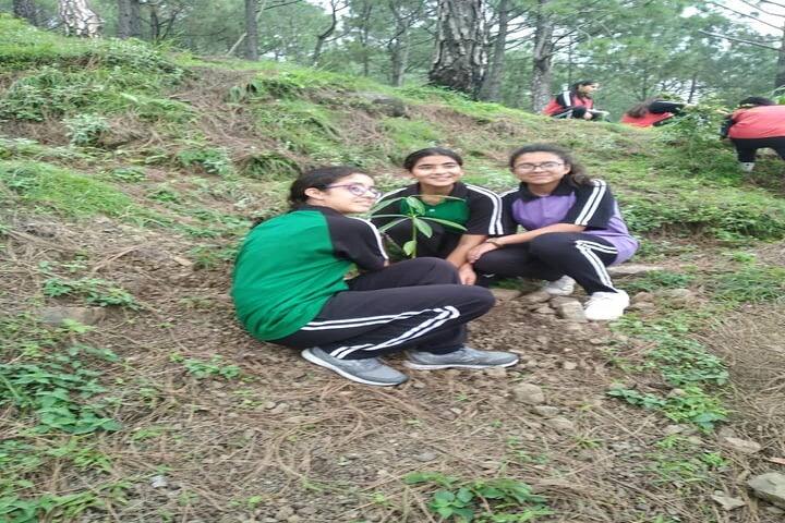 Pine Grove School-Field Trip