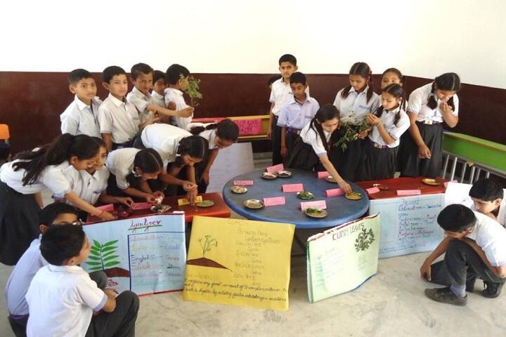 RK International School-Activities
