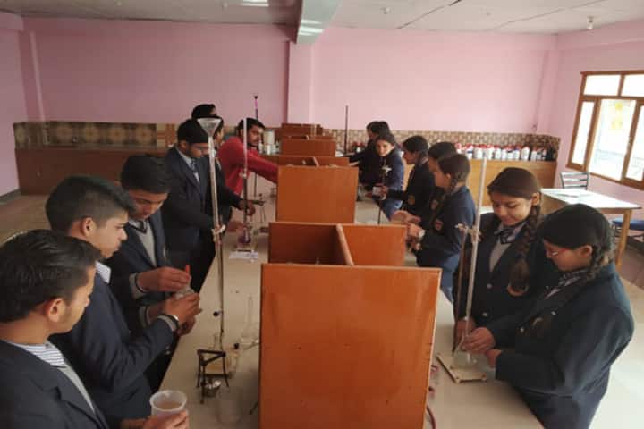 Ramanujam Royal Convent School-Chemistry Lab