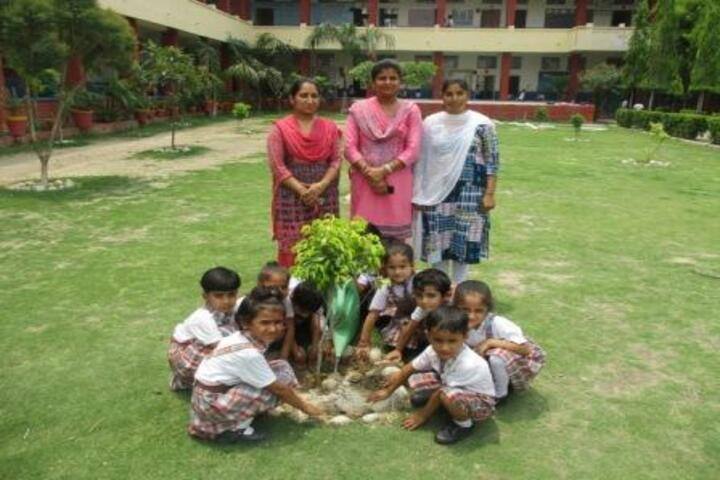 Rudra International School-Tree Plantation