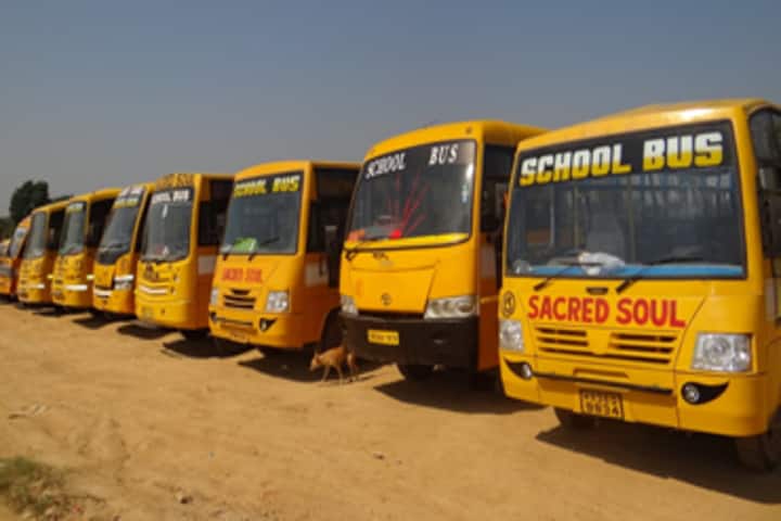 Sacred Soul Cambridge School-Transport