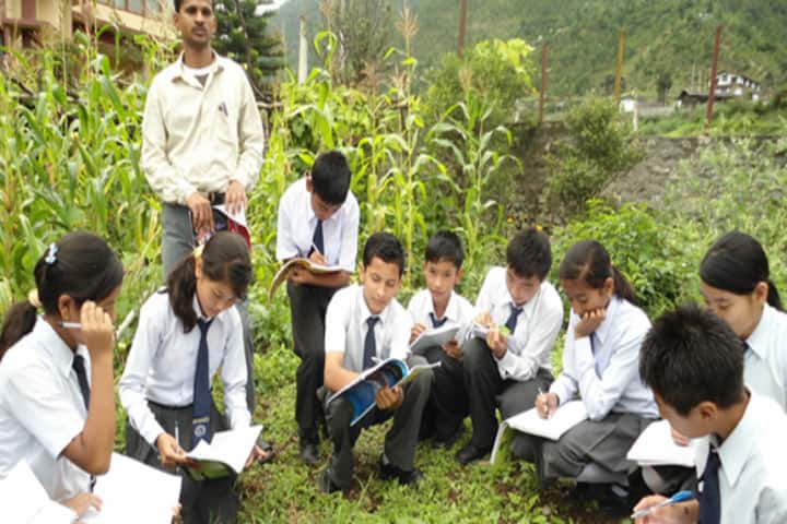 Roopland Public School-Field activities
