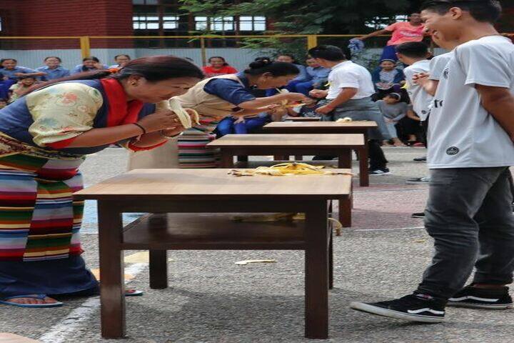 Tibetan Childrens Village School-Games