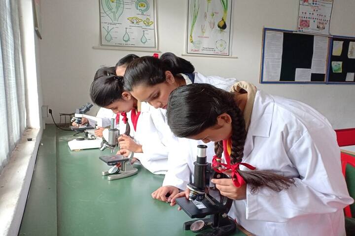 Viveka Foundations-Laboratory biology