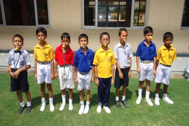 DCM Public School-Games