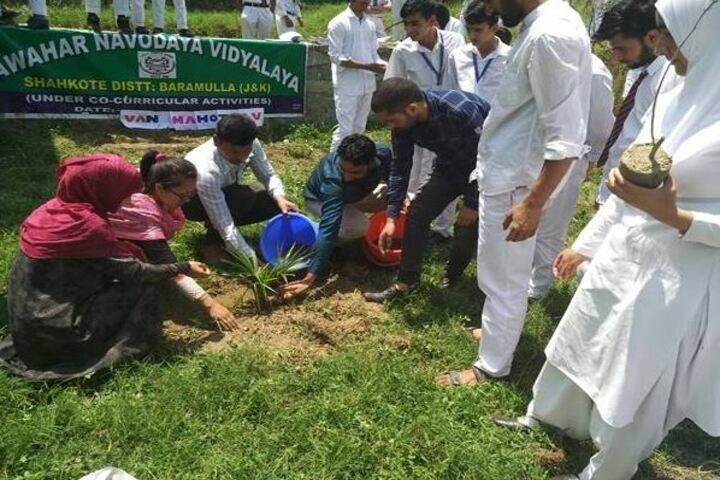 Jawahar Navodaya Vidyalaya-Tree Plant