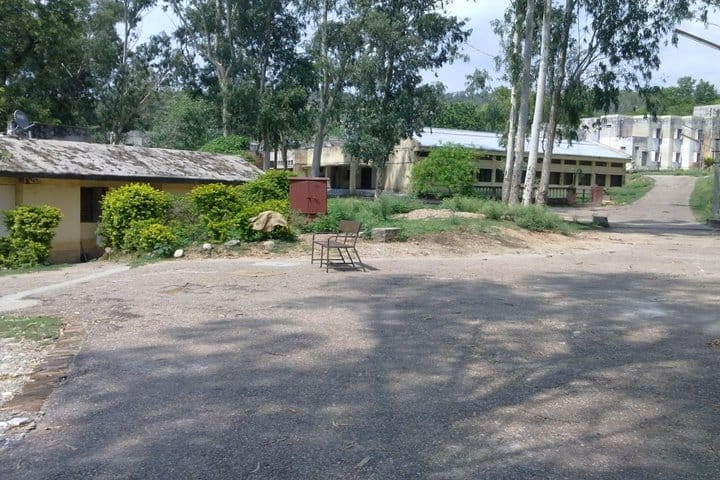Jawahar Navodaya Vidyalaya-School View
