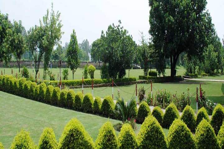 K C International School-Campus View