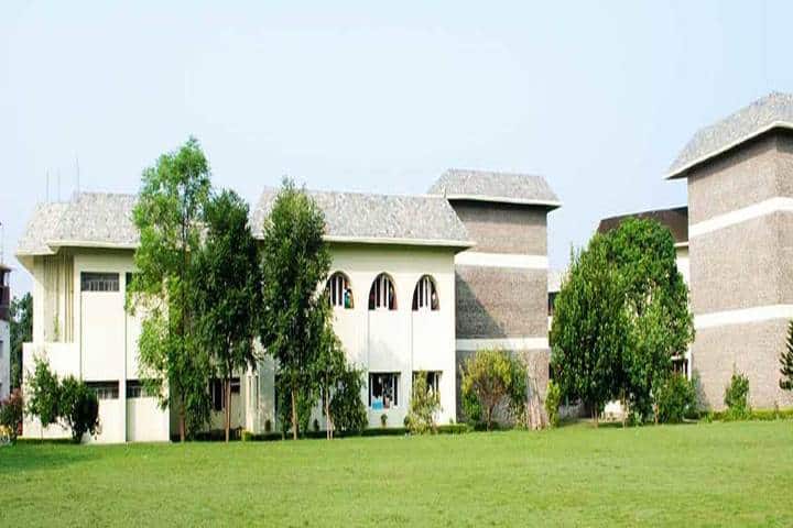 K C International School-Campus View