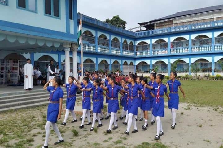 St Francis De Sales School-Scouts and Guides