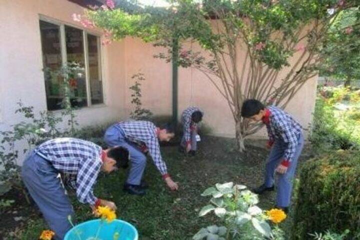 Kendriya Vidyalaya-Swachh Bharat