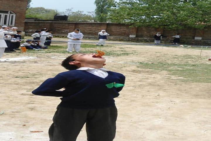 Kendriya Vidyalaya-Game