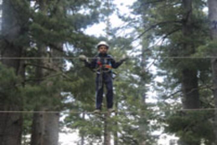 Kendriya Vidyalaya-Adventure