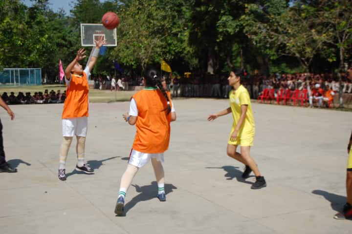 Maharaja Harisingh Agricultural Collegiate School-Game