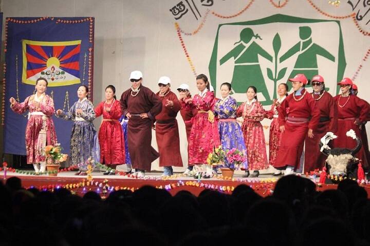 The Tibetan Sos Childrens Village School-Others programme