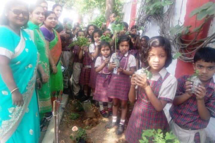 Agrasen Dav Public School-Tree Plant