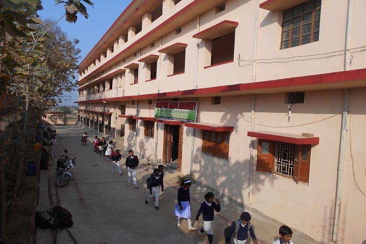 Campion Basic Academy-Campus