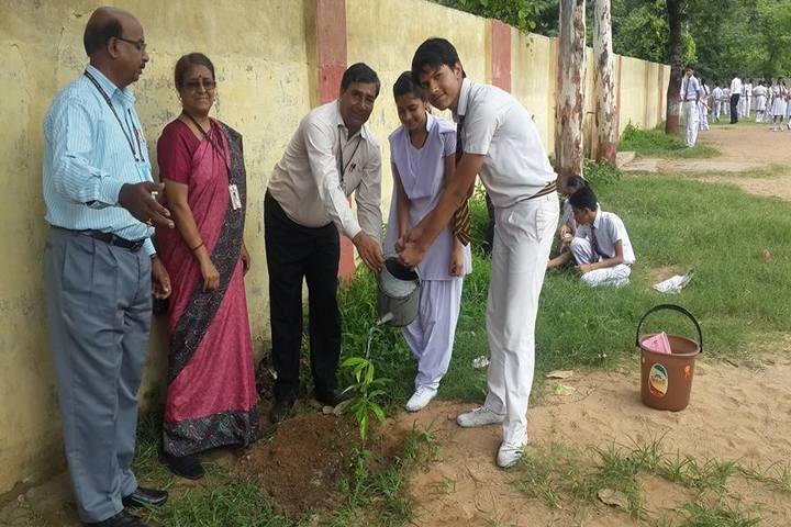 D A V Public School-Tree Plant