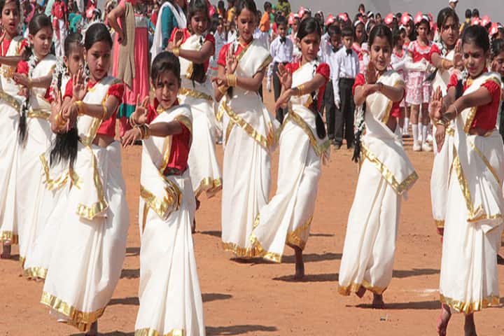D A V Public School-Cultural Program
