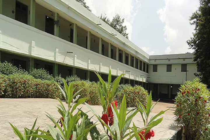 D A V Public School-Side-Cooridors