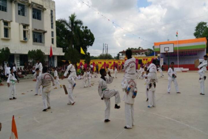 D A V Public School-Karate