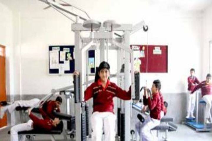 D A V Public School-Gymnasium