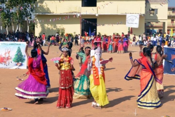 DAV Nageshwar Public School-Celebrations